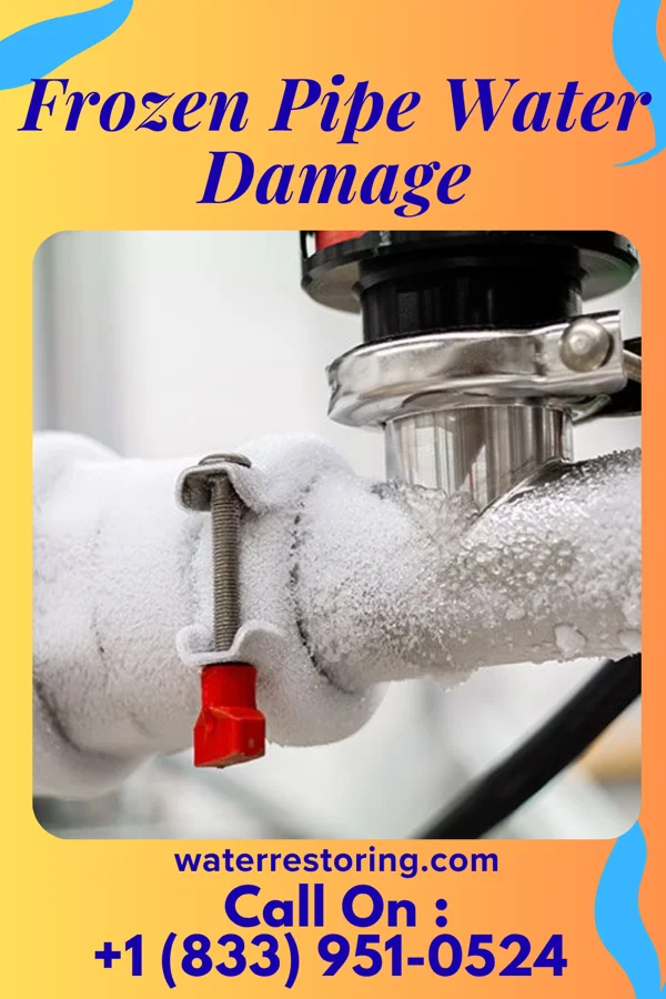 Frozen Pipe Water Damage in Lindsay, TX